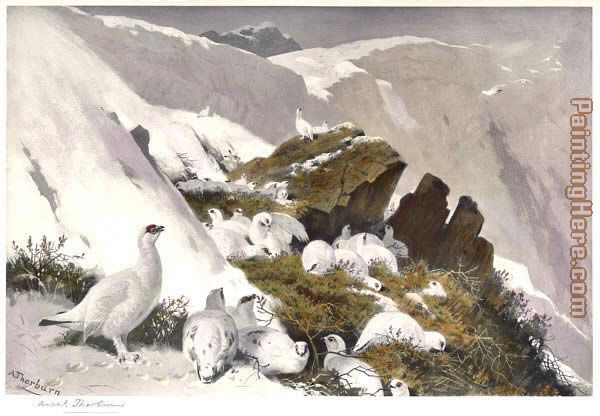 Archibald Thorburn Ptarmigan on Snow Slip